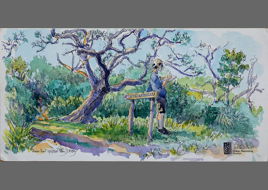 Forêt de Tamar'Haut, croquis aquarellés  Alain Ducros