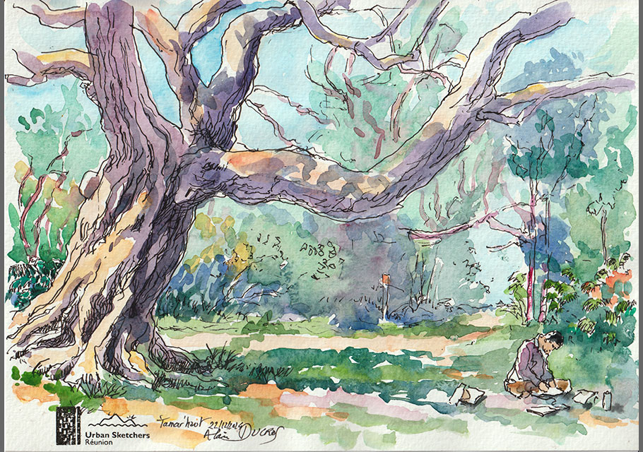 Forêt de Tamar'Haut, croquis aquarellés  Alain Ducros